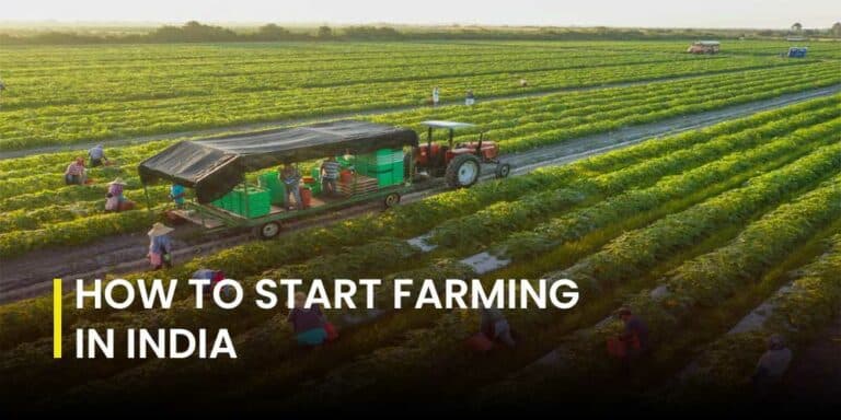 How-To-Start-Farming-In-India